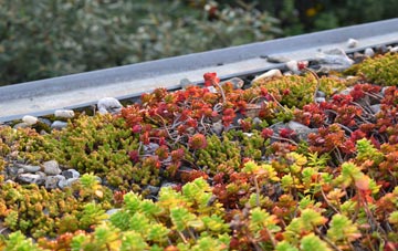 the cost of Bar Hall green roof installation