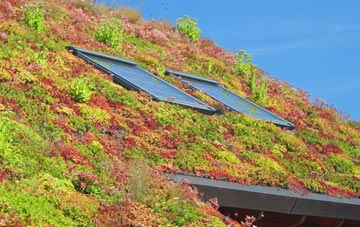 Bar Hall living roof systems