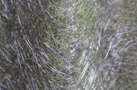 Bar Hall fibreglass roof work